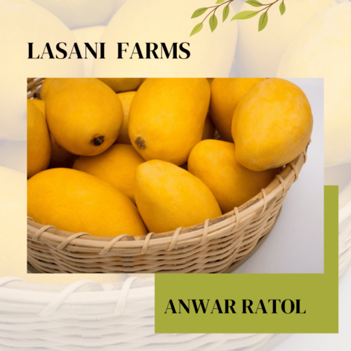 mango-anwar-ratol