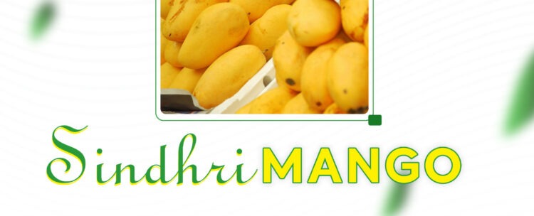 Fresh mango delivery across Pakistan